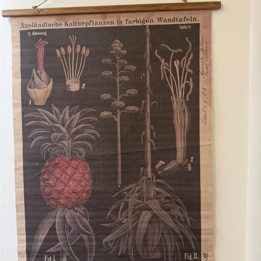 Vintage Botanical Wall Hanging Decor
